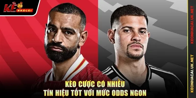 Kèo cược có nhiều tín hiệu tốt với mức odds ngon