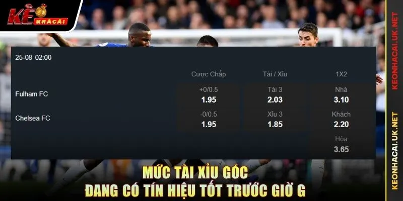 Mức tài xỉu góc đang có tín hiệu tốt trước giờ G